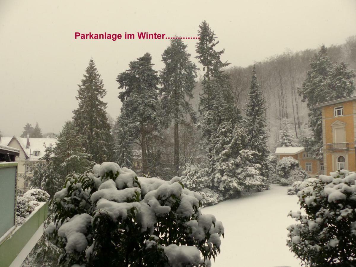 Fewo Parkblick Mit 2 Baedern Bad Harzburg Dış mekan fotoğraf